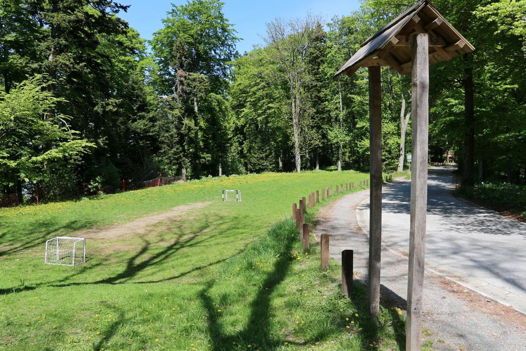 Aparthotel Snjezna Kraljica Stubicke Toplice Экстерьер фото